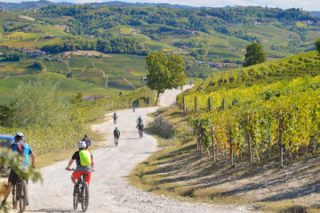 Barolo roads