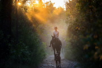 Horseback Riding Without Transfer