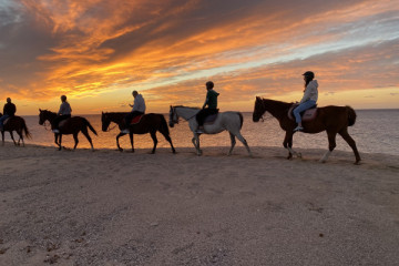 BEACH TOUR AT DAWN