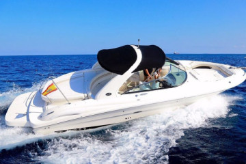 Sea Ray 290