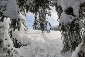 Snowshoeing on Alpe Cimbra with Mountain Guide