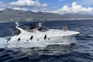 Sessa C35