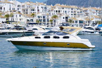 Sessa C35 DM