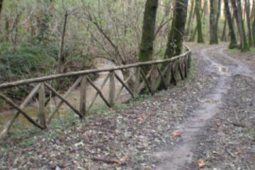 Trekking in Calabria - Serra San Bruno/Mongiana
