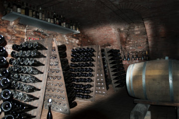 VINI GIACHINO - Visit at the winery and guided tasting