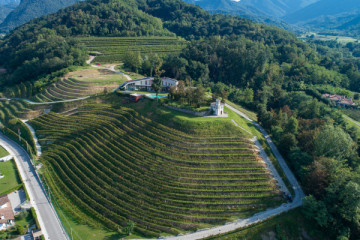 Wine Tasting - Gori Agricola - Nimis - UD