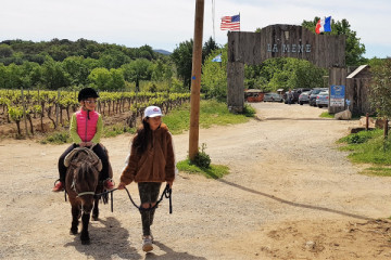 30-minute or 1-hour guided pony ride