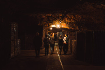 A visit to the cellars