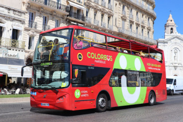 Hop-On Hop-off City Sightseeing Bus Tour