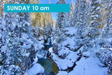 FROM THE SEE-THROUGH BRIDGE TO THE SUSPENDED BRIDGE