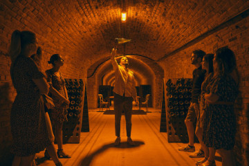 Cellar visit and tasting class