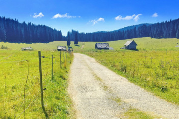 Private active waterfall trip - bike&hike full day