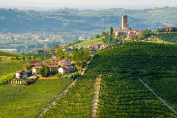 Barbaresco