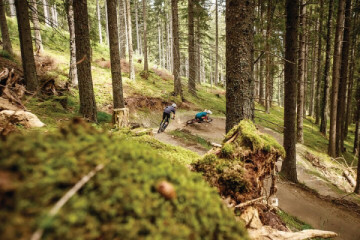 Downhill Guiding  - Bike Park Innsbruck