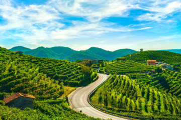 Prosecco Hills unveiled | e-bike bliss through Valdobbiadene's vineyards