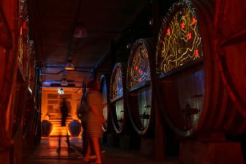 Immersive cellar tour, tasting and board meal