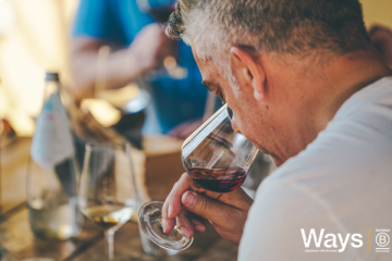 Amarone Wine-tasting Tour from Verona