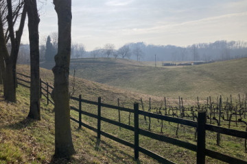 The "Bosco della Serenissima" | History and nature on the Montello Hill