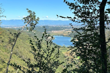 Canavese: land of wine