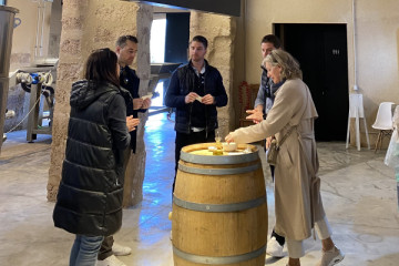 Private visit and gastronomic wine tasting