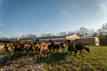 Goat farm La Bête Noire