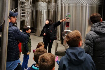 Cellar tour in Sancerre with wine tasting