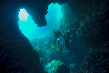 1 Fun Dive