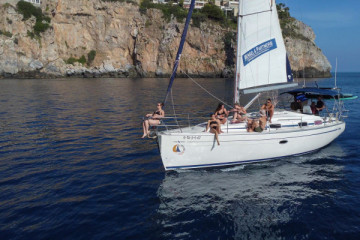 Sailing and dolphin sightings