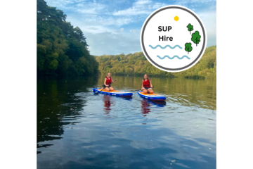 Swiss Valley Dog Paddleboard Hire