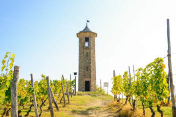Contini Tower