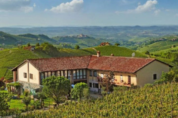 CASCINA AMALIA - Visit at the winery and tasting