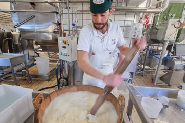 Dairy