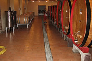 CAGLIERO - Visit and tasting