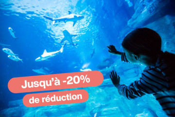 DATED PROMO TICKET – Book & Save!