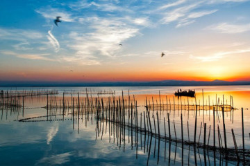 From Valencia: Albufera Natural Park - Sunset Tour