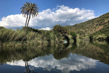 Boat trip on the river Temo - Bosa