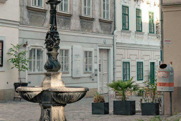 GANGS OF VIENNA