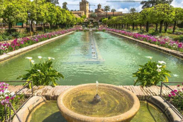 Guided tour of the Alcázar of the Christian Monarchs (AC)