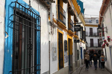 Mosque + Jewish Quarter: Guided Tour (AC)