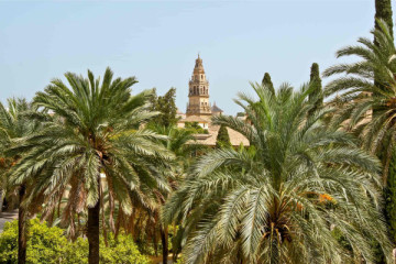 Guided tour of the Alcázar of the Christian Monarchs (AC)