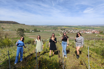 The Must-Have Tradition, tasting in the vineyard