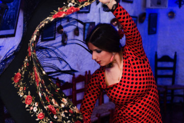 Flamenco show in a Natural Cave - Los Tarantos
