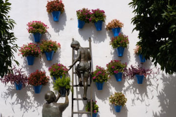 Guided Tour Patios de Córdoba (AC)