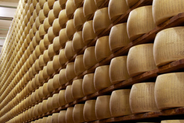 Guided Tour and Tasting Caseificio Ugolotti