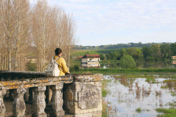 Walking tour "A harbour in the vineyard"