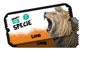 Zoo Delle Maitine - Adopt a Lion