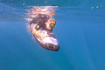 UNDERWATER SCOOTER RENTAL