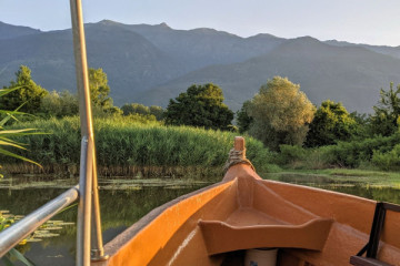 Day Trip to Kerkini Lake & Boat Tour