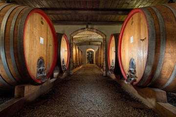 Poderi Gianni Gagliardo - QUATTROVINI