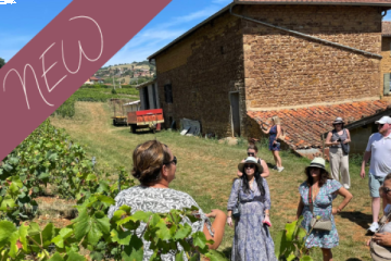 Beaujolais North and South - full day